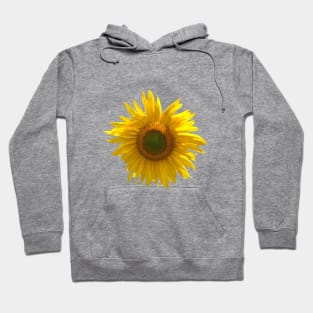 Sunflower photography (light blue background) Hoodie
